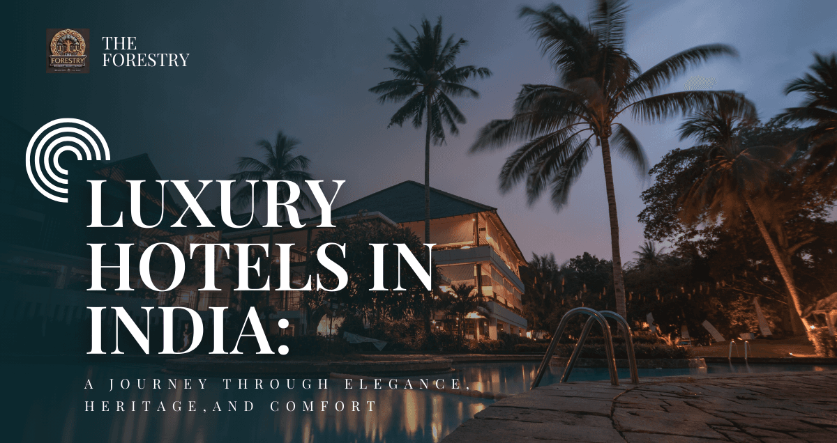 Luxury Hotel Experience