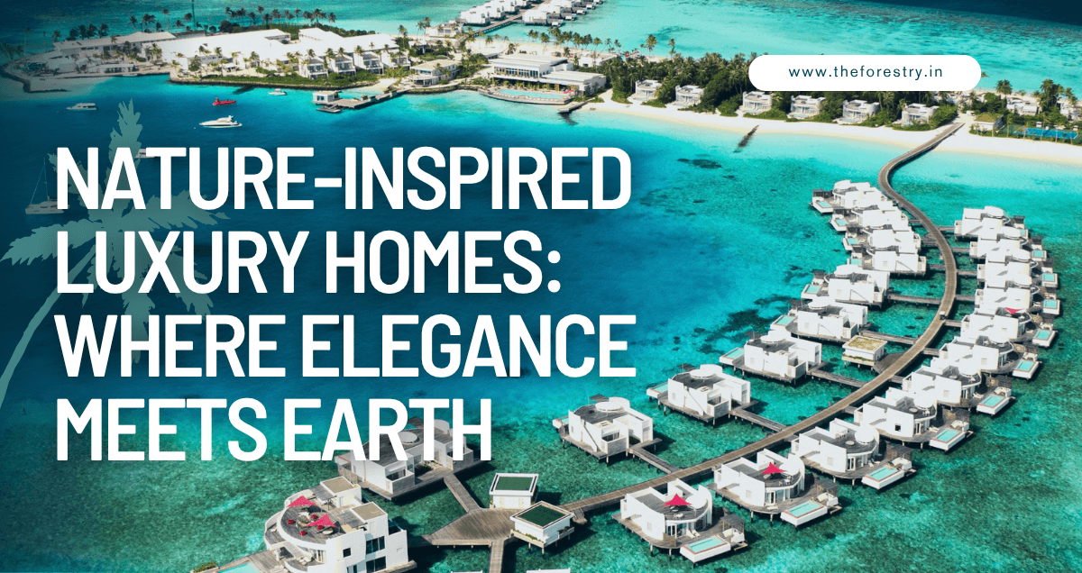 Explore Hotels
