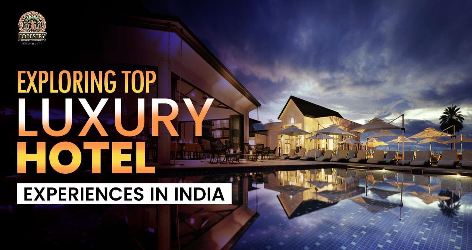 Exploring Top Luxury Hotel Experiences