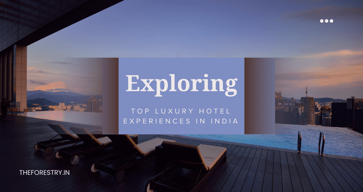Top Luxury Hotel